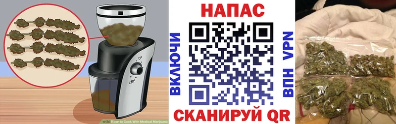 Canna-Cookies марихуана где купить наркоту гидра рабочий сайт Кемь