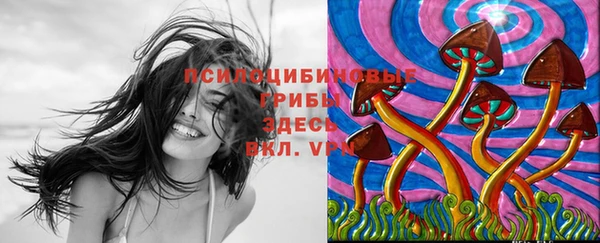 бошки Слюдянка
